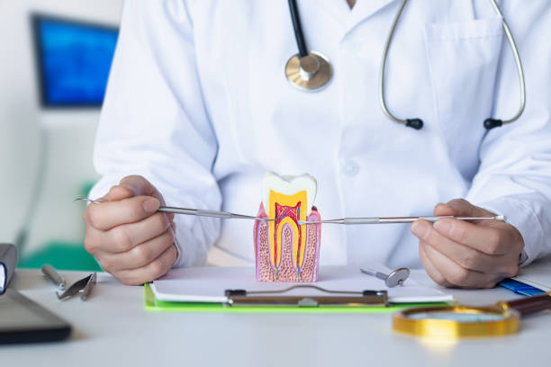 Best Cracked Tooth Emergency Dentist  in Manchester, MO
